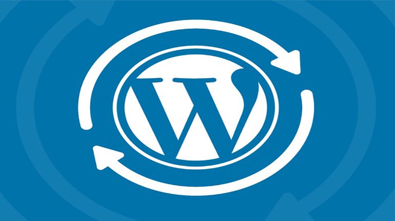 Отключить обновление WordPress в установщике ZIP до установки